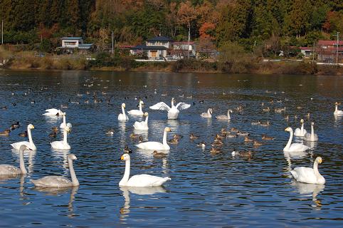 内町湖の画像