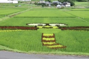 詳細情報の画像