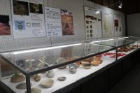 考古資料室