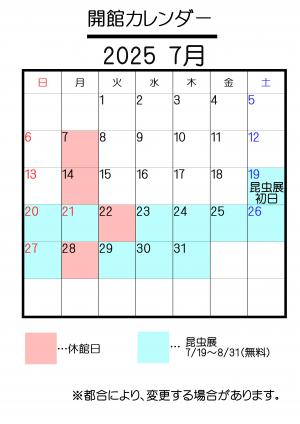7月