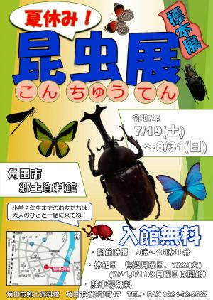 昆虫展チラシ
