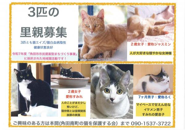 里親募集ポスター