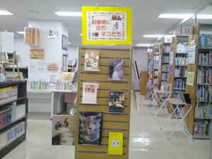 図書館に住むネコたち