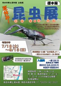 企画展「夏休み!昆虫展」ポスター
