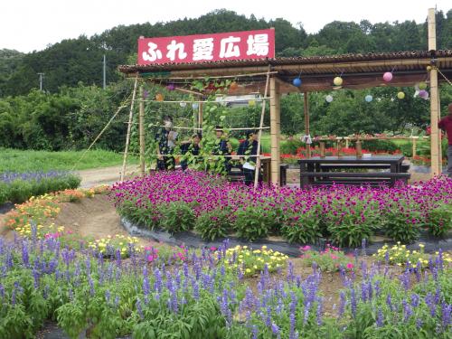 令和6年度第38回花のあるまちづくりコンクールの様子
