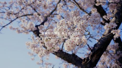 【角田市PR動画】宮城県角田市｜桜と春の訪れ