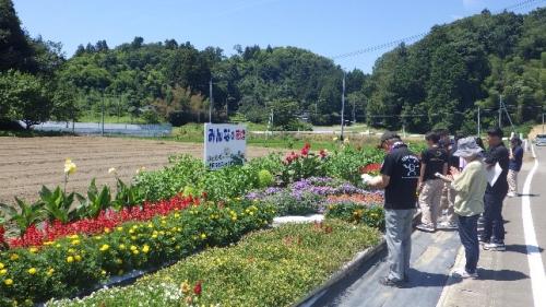 第39回花のあるまちづくりコンクールの様子