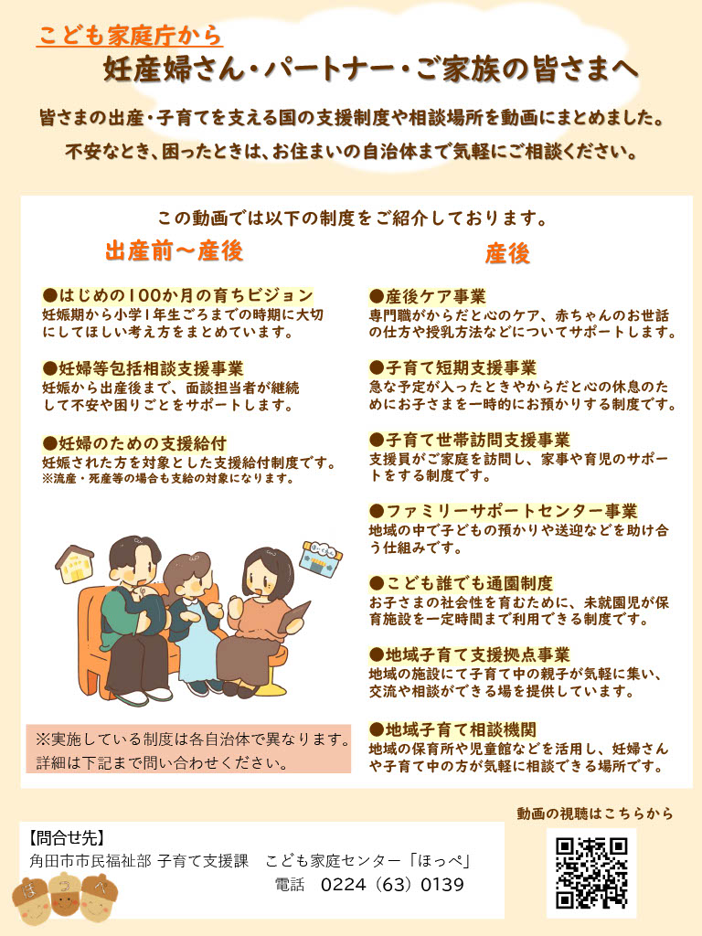 制度紹介動画チラシ