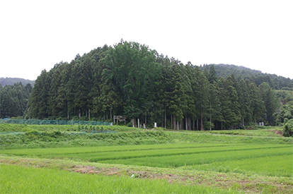 田園の中、木立に包まれ福應寺がありますの画像
